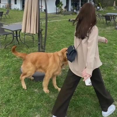 圣女小德兰